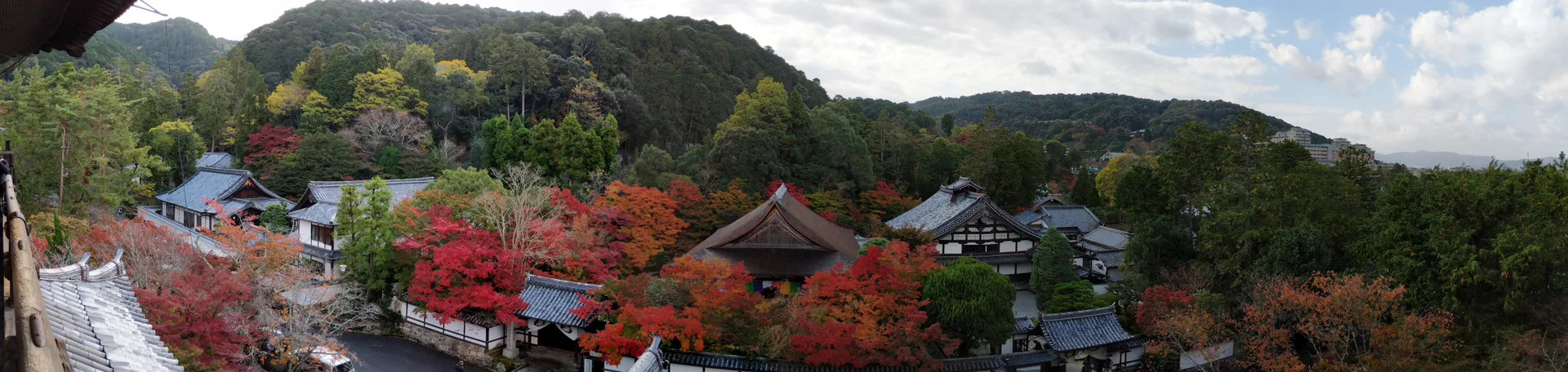 Three Days in November