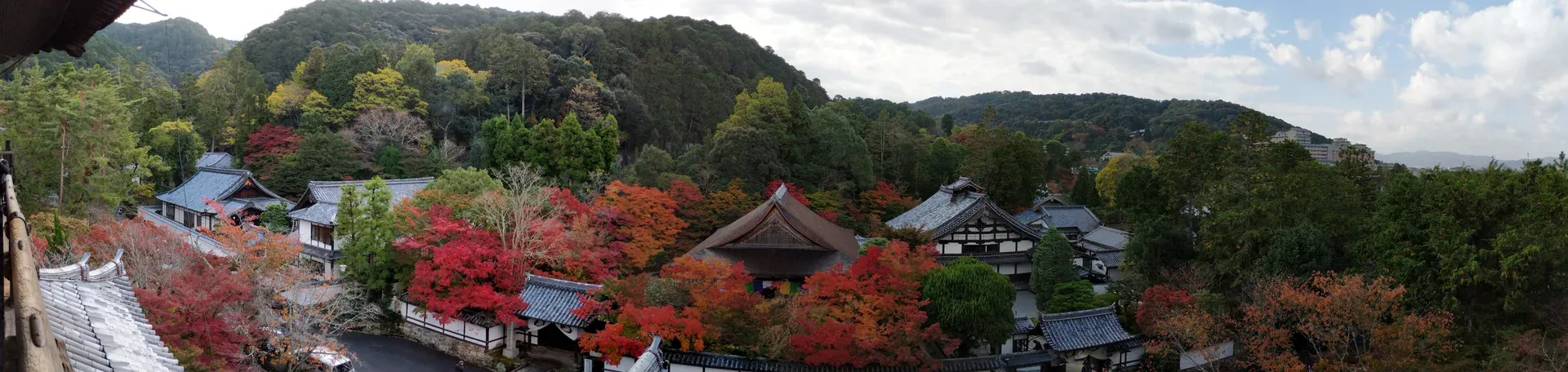 Three Days in November