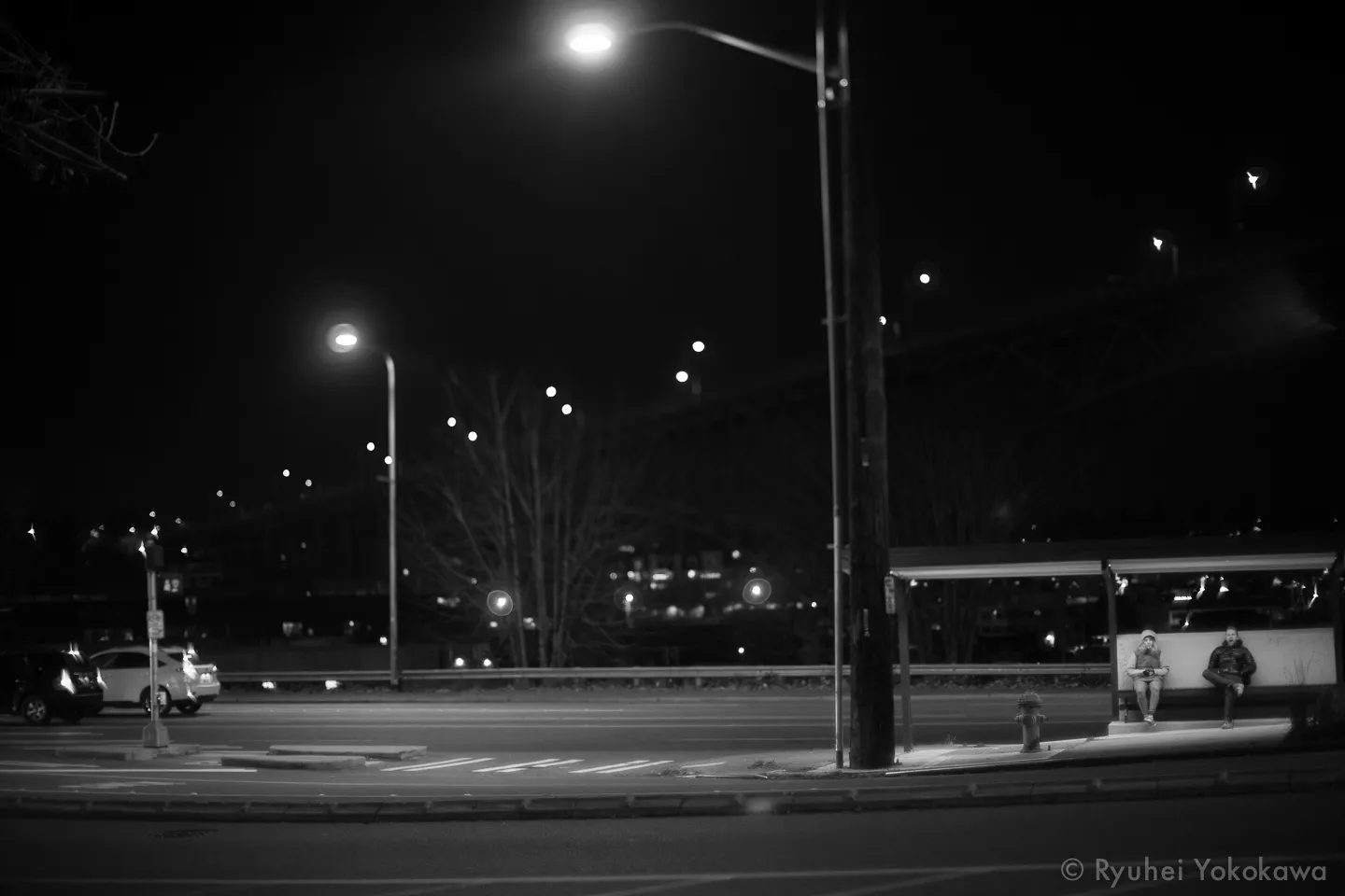 2015, a reflection in music (and some pictures)