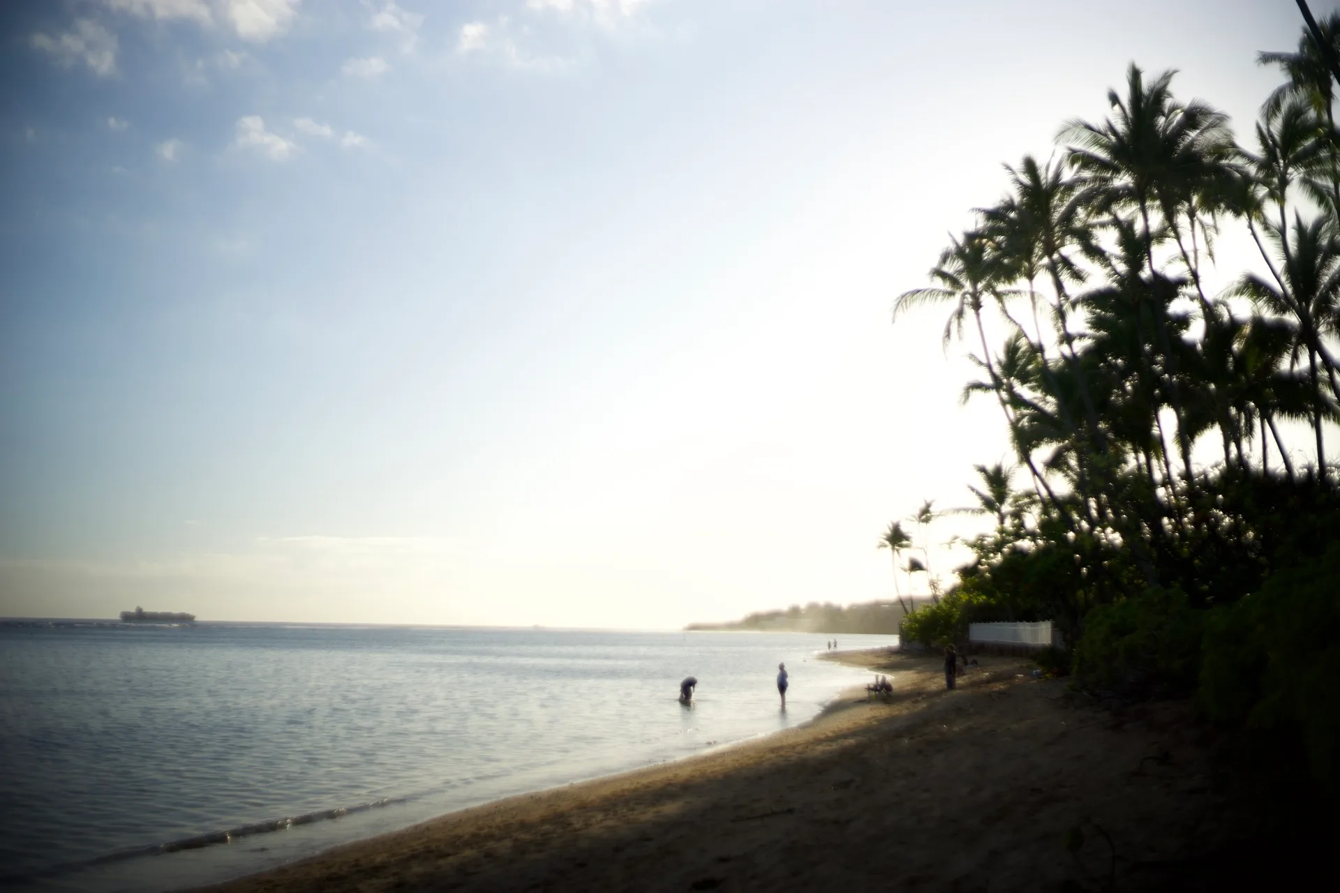 Quiet beach at golden hour, a few figures wading in calm water, palm trees silhouetted against fading light, cargo ship on the distant horizon