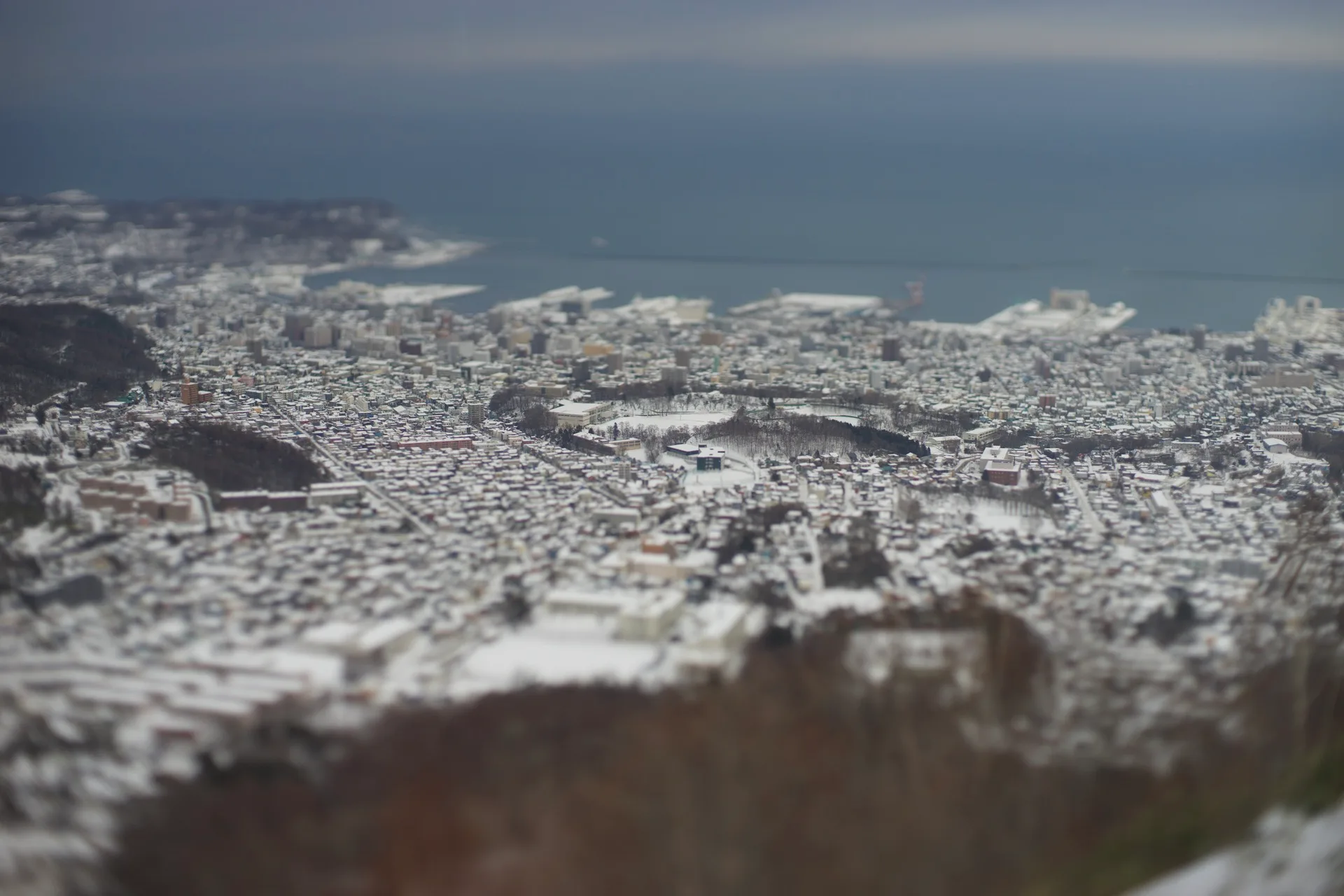 Aerial view of snow-covered Otaru from Mount Tengu, the port and sea visible beyond, tilt-shift-like shallow depth of field making the town look miniature