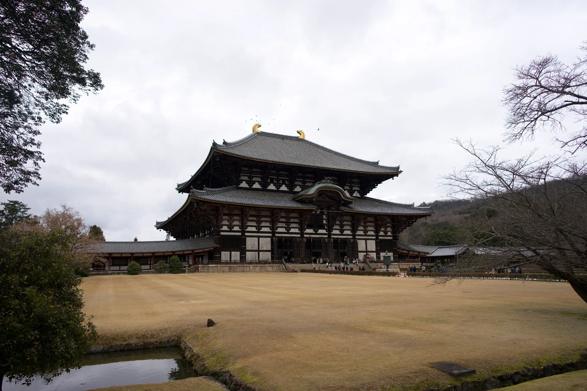 Todai-ji temple in Nara, the massive wooden Great Buddha Hall seen from across dormant winter grass, golden finials on the dark roof, overcast sky