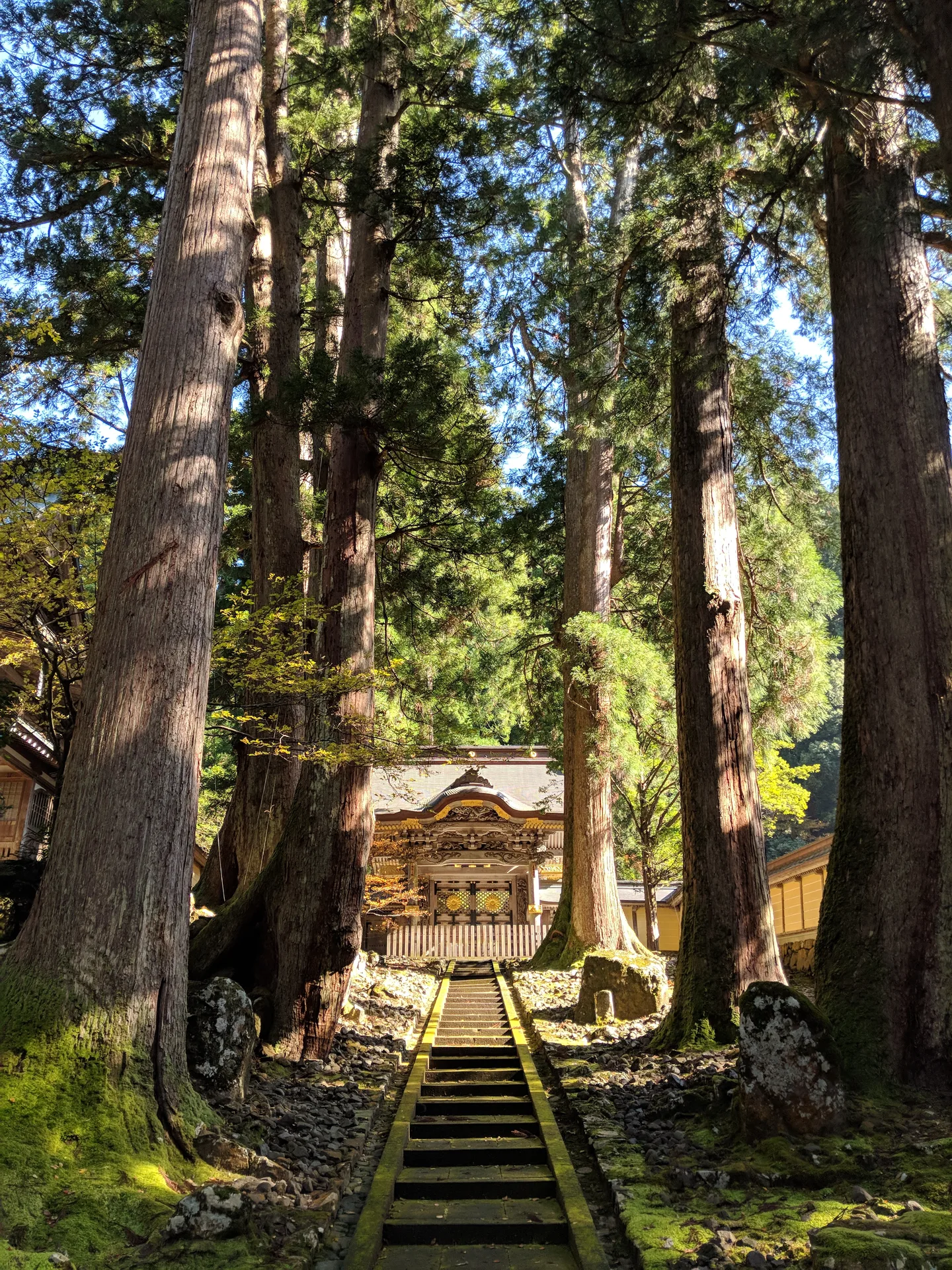 Stone stairs ascending through towering cryptomeria trees to an ornate painted temple gate, moss covering the ground on both sides