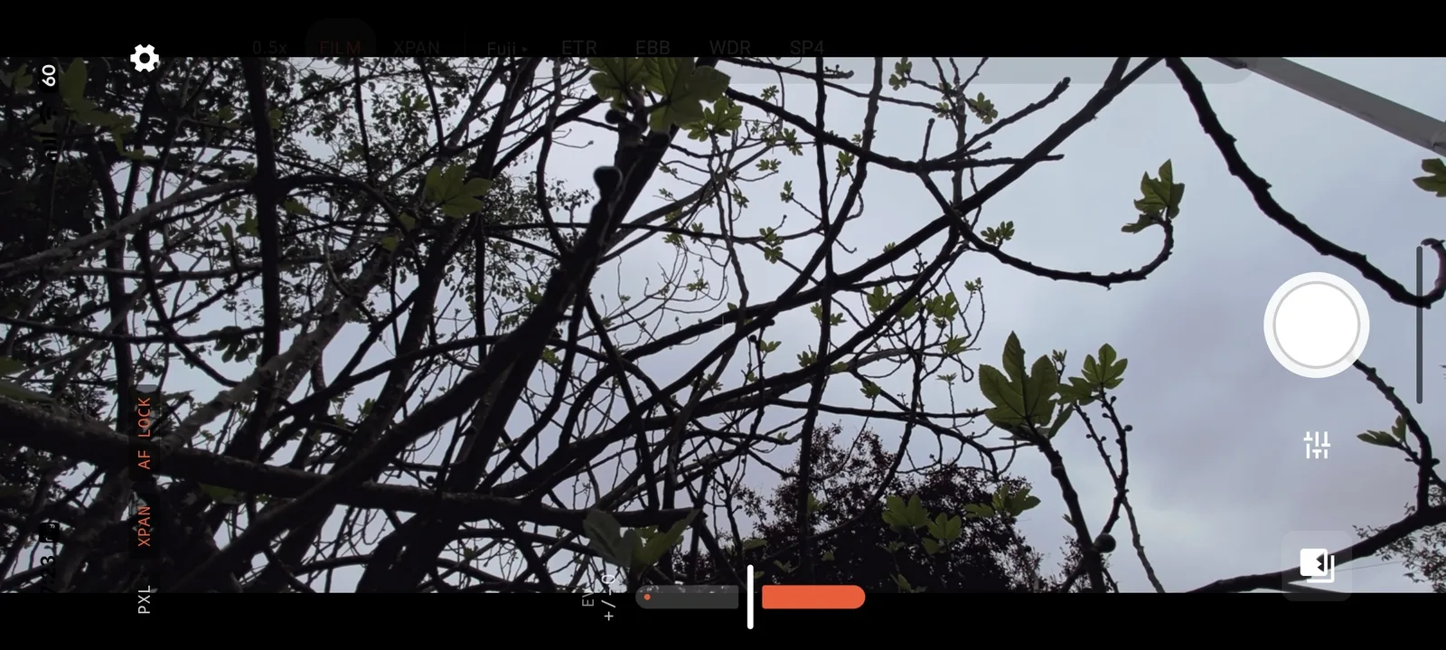 FilmFrame viewfinder showing the XPan letterbox overlay, manual controls, and live LUT preview